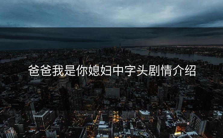爸爸我是你媳妇中字头剧情介绍