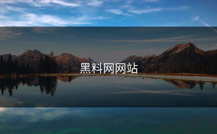 黑料网网站