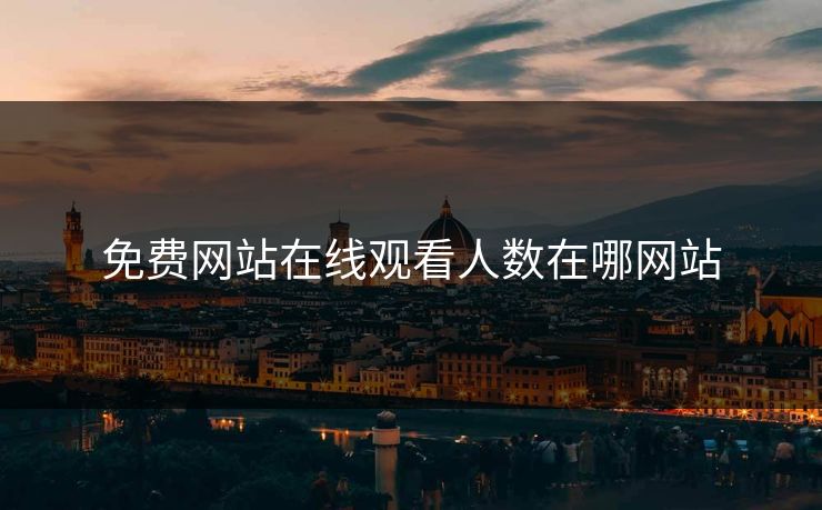 免费网站在线观看人数在哪网站